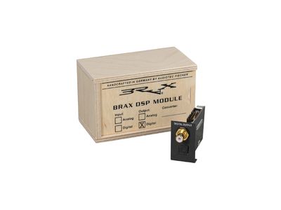 BRAX DSP – Upgrade Module – Digital Output SPDIF